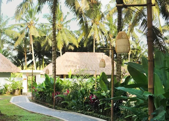 The Lanaya *