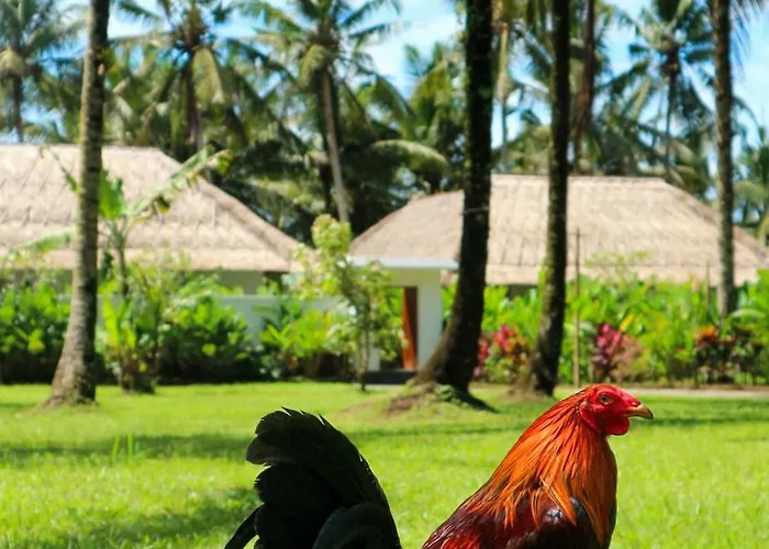The Lanaya Villa *